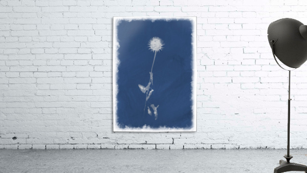 Cyanotype 101 Wall Preview