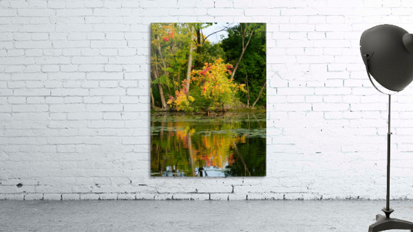 Automne Wall Preview