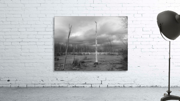 Dead wood Wall Preview