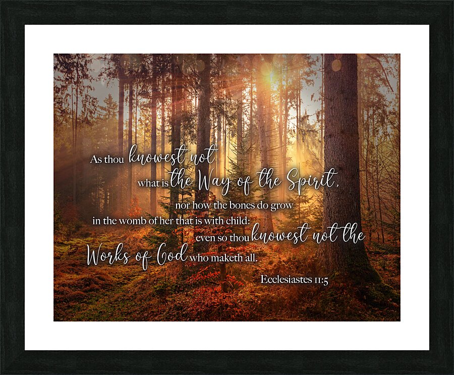 MNW12-FOREST ECC1 5 Picture Frame print