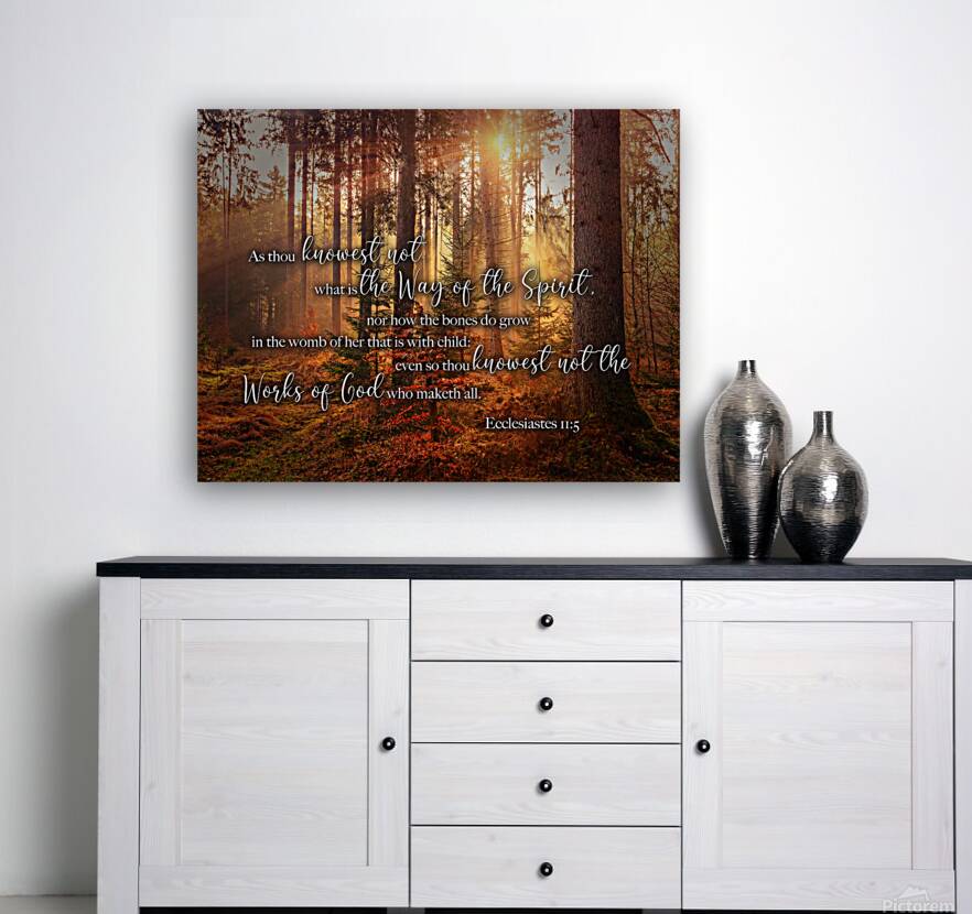 MNW12-FOREST ECC1 5 Reproduction