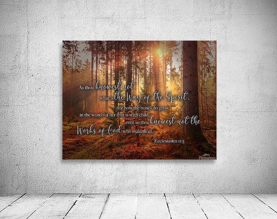 MNW12-FOREST ECC1 5 Wall Preview