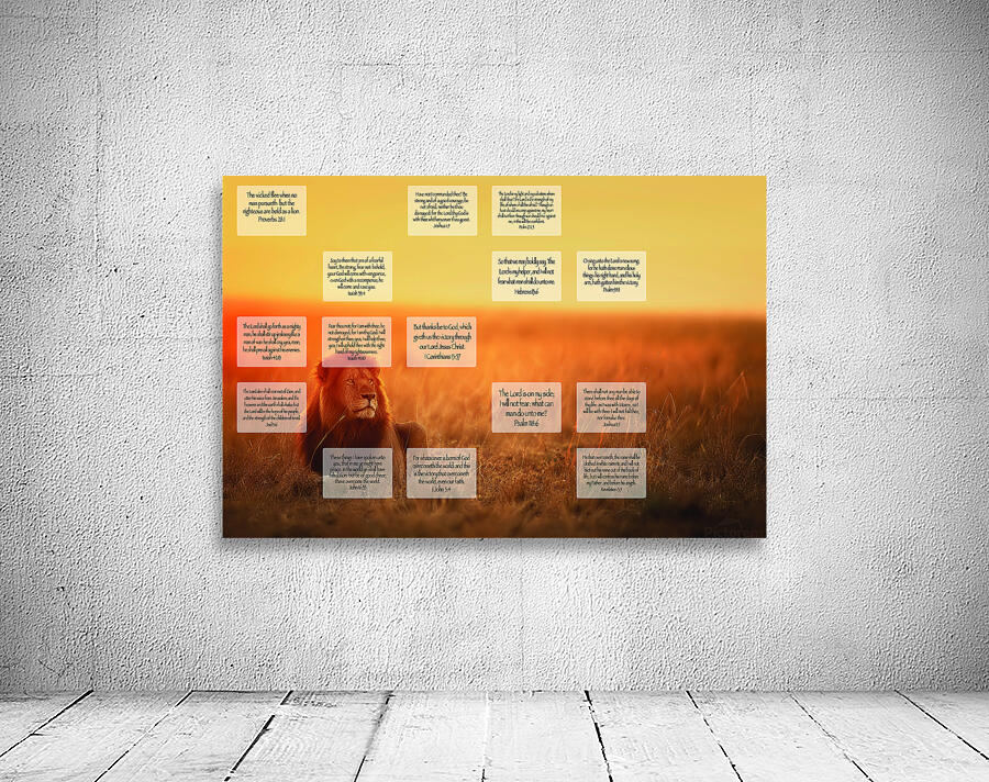 MNW17-LION Wall Preview