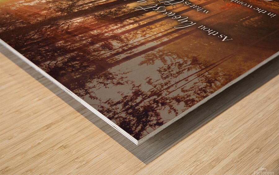 MNW12-FOREST ECC1 5 Wood print