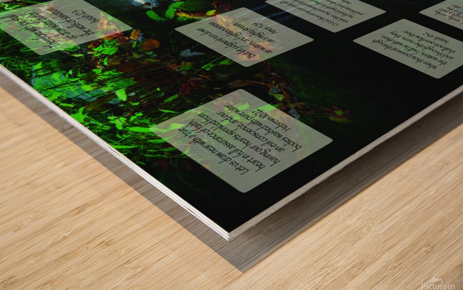 MNW16-WATERFALLS Wood print