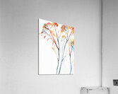 Golden Hour Trees 1 Acrylic Print