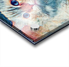 Cat’s curiosity  Acrylic print
