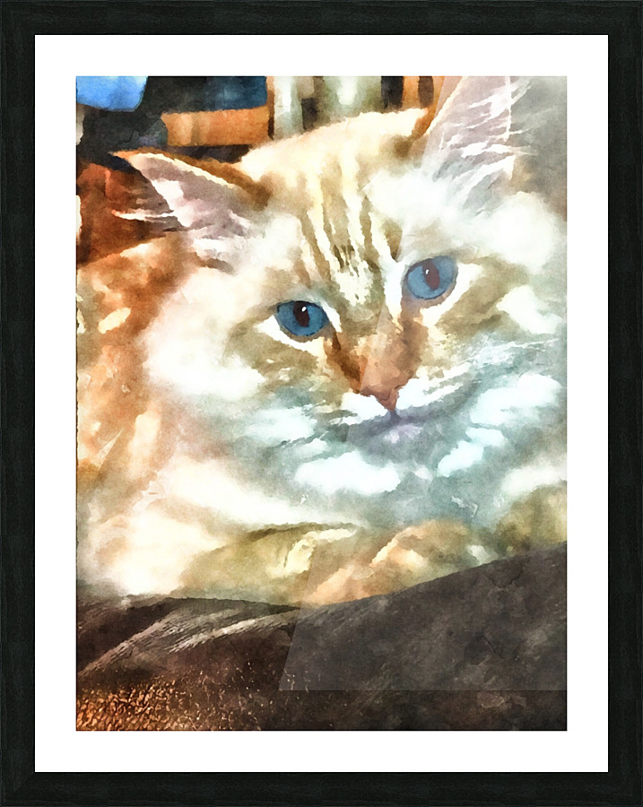 White Cat Picture Frame print