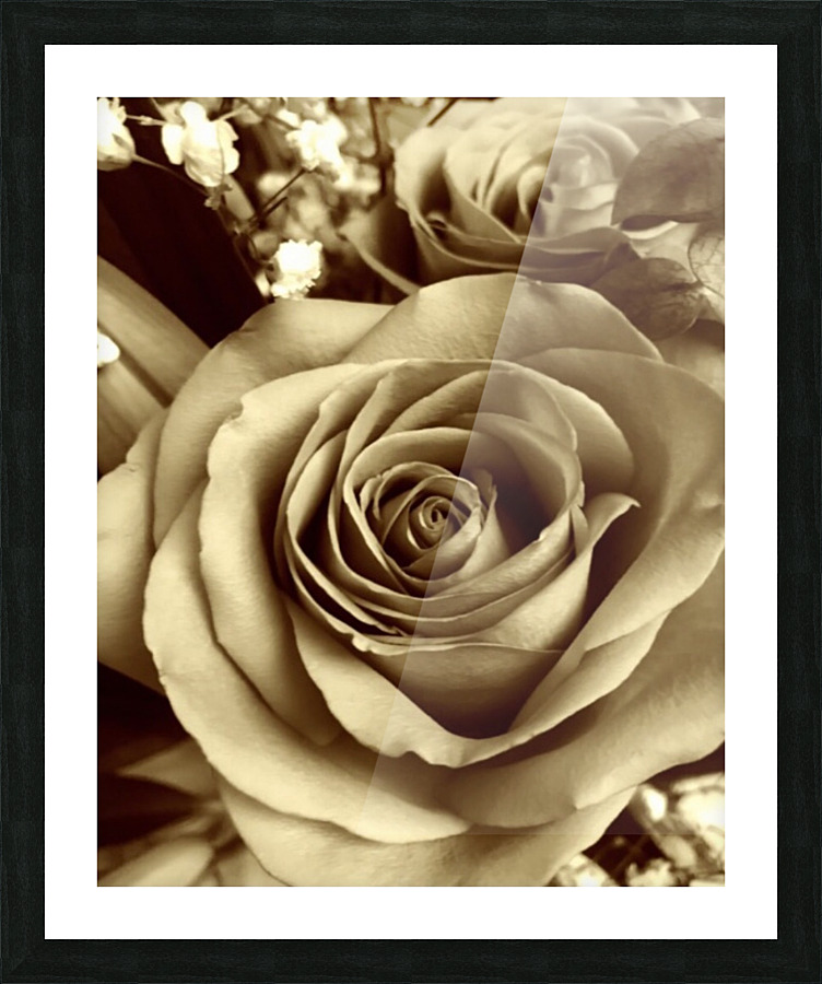 Neutral tone rose  Picture Frame print