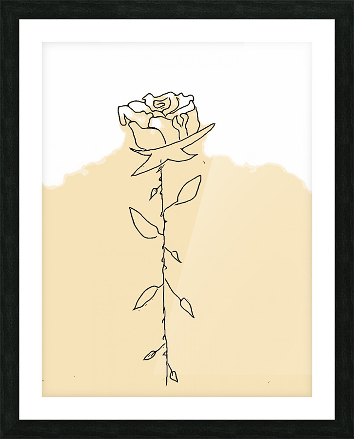 Rose  Picture Frame print