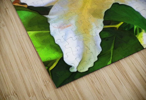 Lily Susan C puzzle