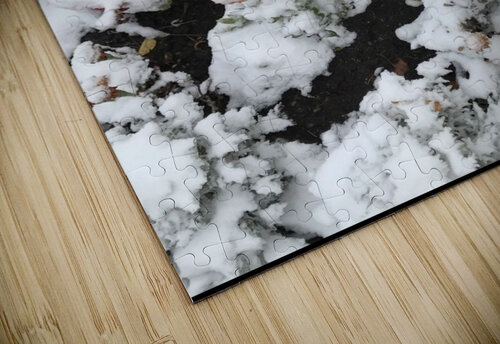 Snow over Flowers Susan C puzzle