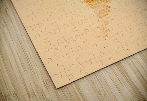 Pastel orange  Susan C puzzle