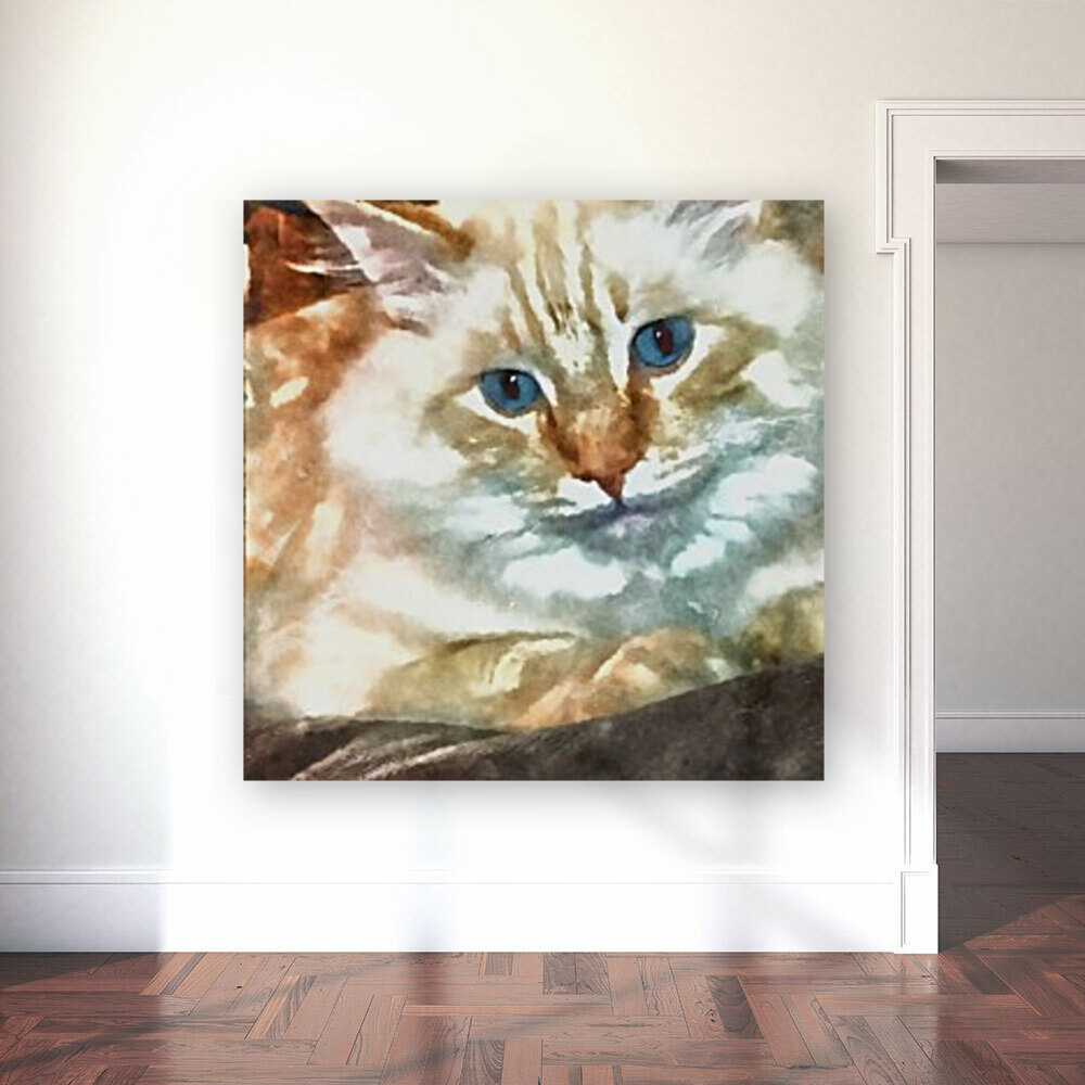 White cat Reproduction