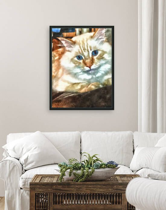 White Cat Reproduction