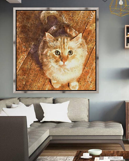 White Cat Reproduction