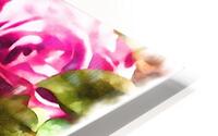 Pink roses  HD Metal print