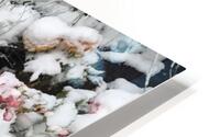 Snow over Flowers HD Metal print