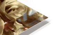 Neutral tone rose  HD Metal print