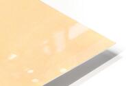 Pastel orange  HD Metal print