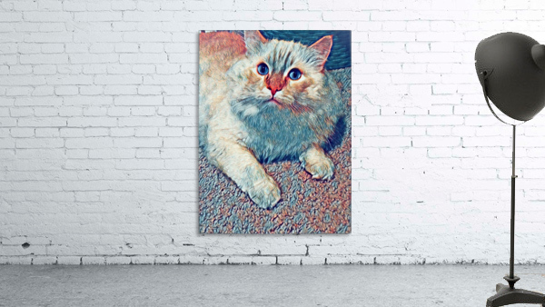 Cat’s curiosity  Wall Preview