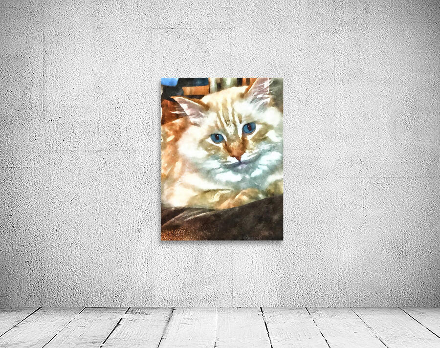 White Cat Wall Preview