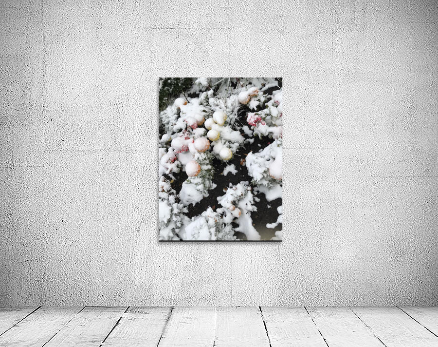 Snow over Flowers Wall Preview
