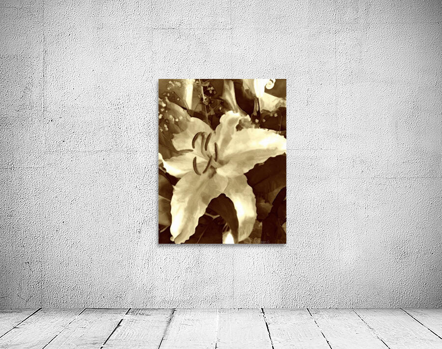 Neutral tone Lily  Wall Preview
