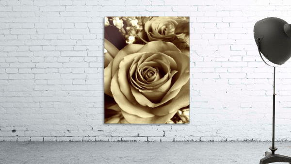 Neutral tone rose  Wall Preview