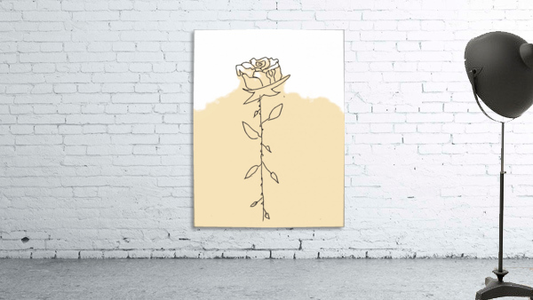 Rose  Wall Preview