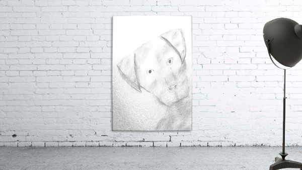 Confused Dog Wall Preview