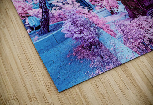 Pink Garden Seoul Man puzzle