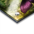  The butterfly contemplates life Acrylic print