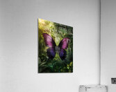  The butterfly contemplates life Acrylic Print