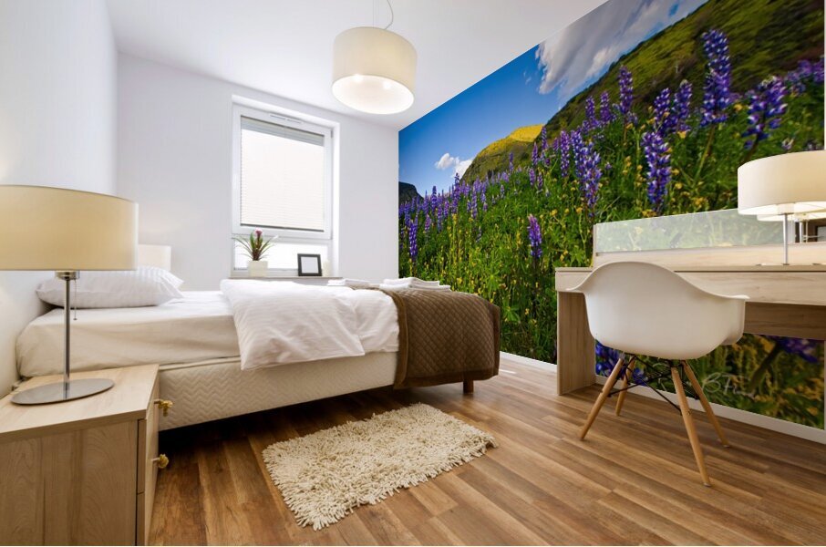 spring lupins  Mural print