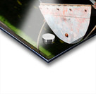 LID OPEN  Acrylic print
