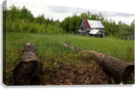 COUNTRY LIFE Canvas Print