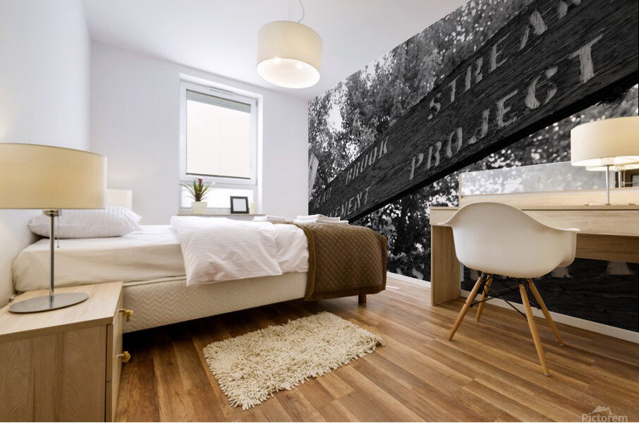 DEAD BROOK Mural print