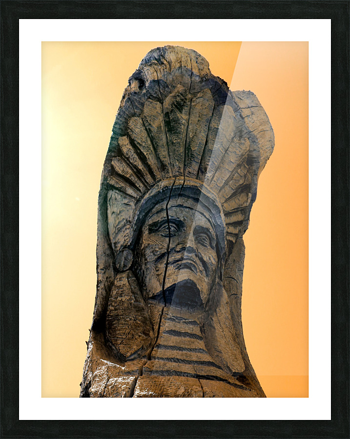 Chief  Picture Frame print