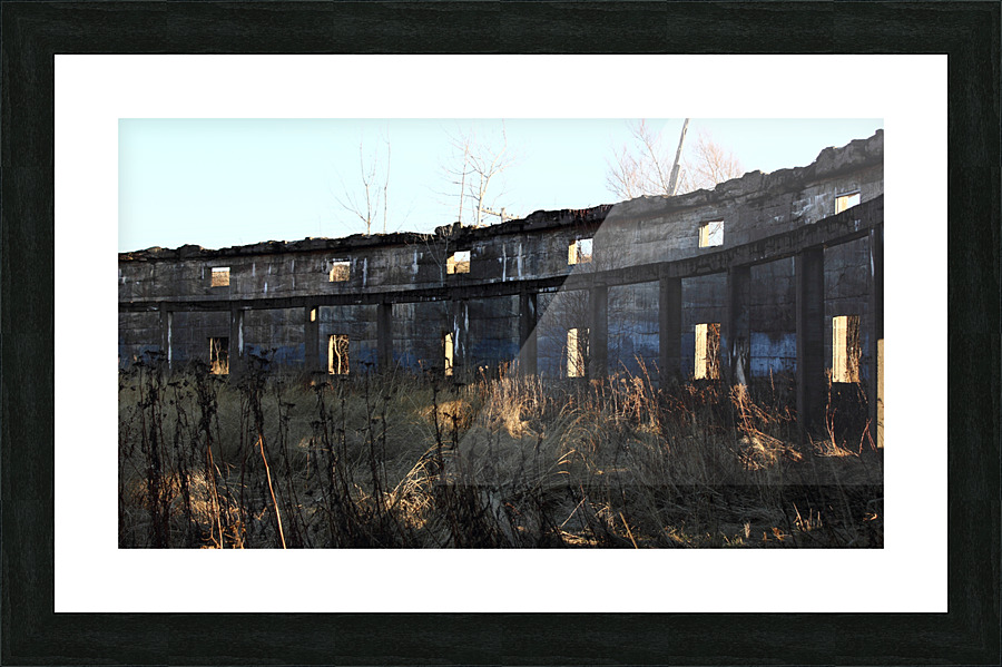 ABANDONED Picture Frame print