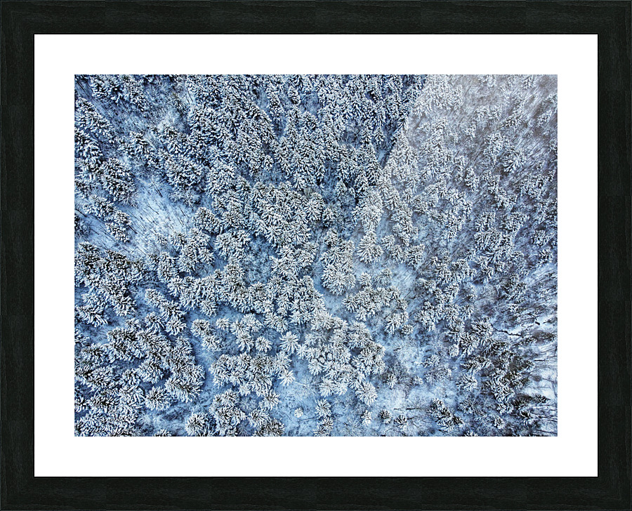 Snowy forest Picture Frame print