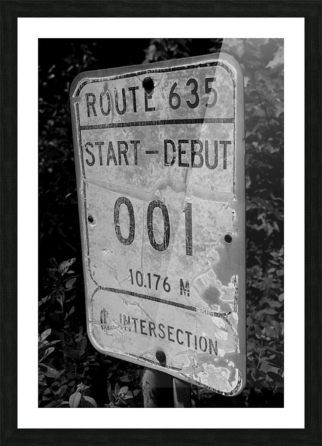 001 II Picture Frame print