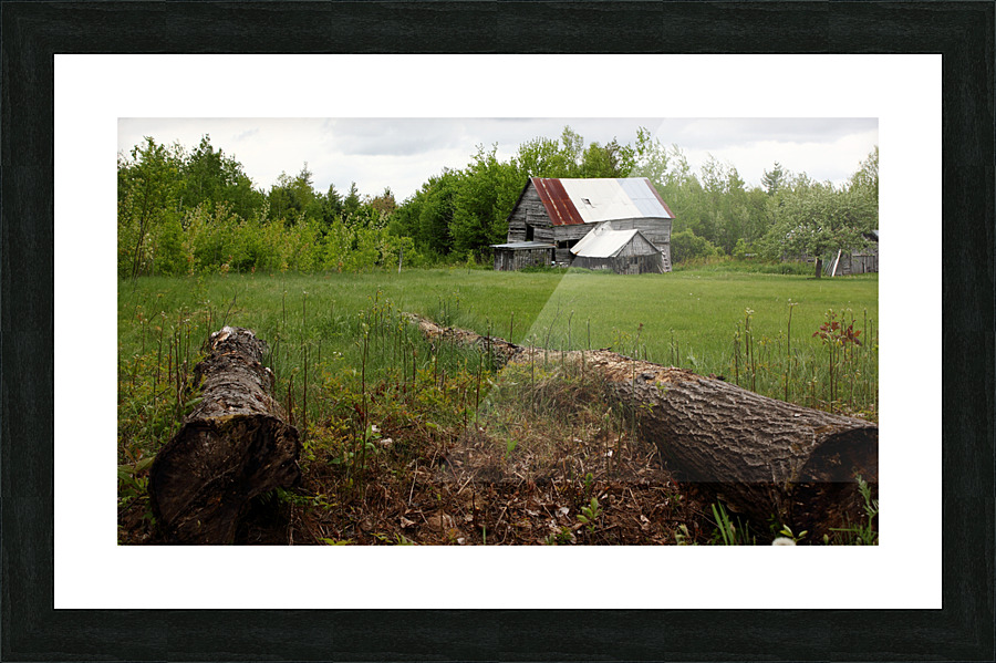 COUNTRY LIFE Picture Frame print