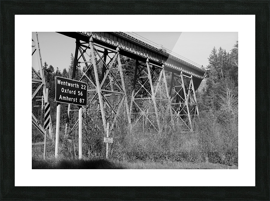 TRAIN BRIDGE Picture Frame print