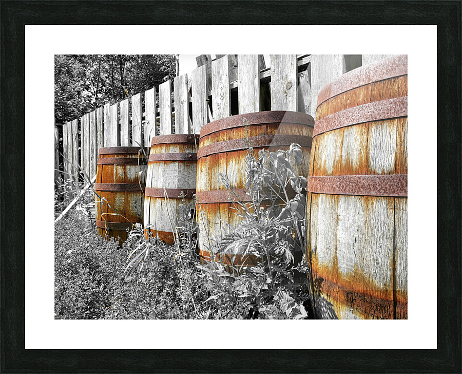 Old Barrels  Picture Frame print