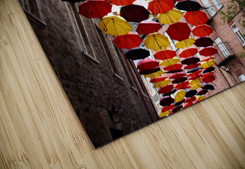 Umbrellas Mathieu LeBlanc puzzle