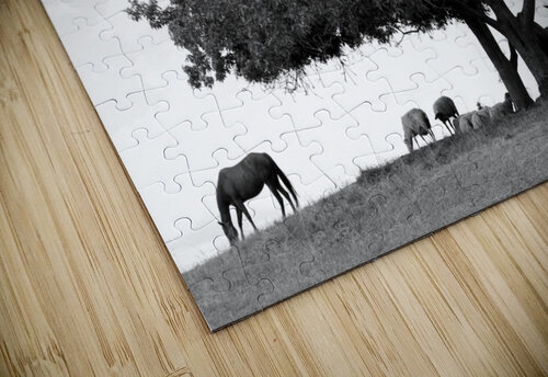 Horses Mathieu LeBlanc puzzle