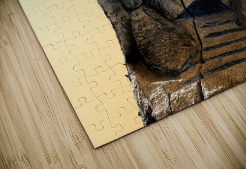 Chief  Mathieu LeBlanc puzzle