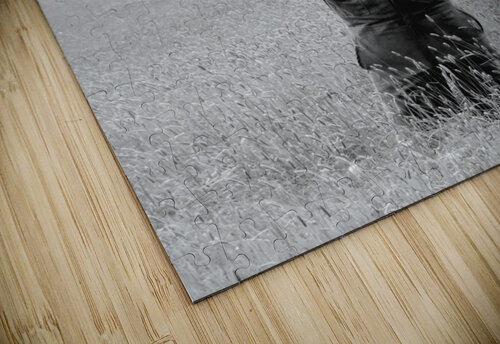 Bully Mathieu LeBlanc puzzle