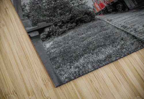 TRAIN Mathieu LeBlanc puzzle